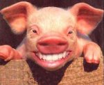Pig.jpg