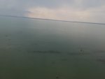 1528642690834.jpg