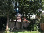 IMG_2887.JPG