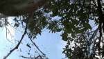 CA1EDB13-5AD1-438B-AE56-9C174E1A12BF.png