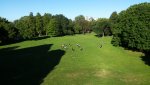 IMG_20180626_212312.jpg