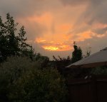 5ED91873-88F1-406C-9939-6C87E9EE1E0F.jpeg