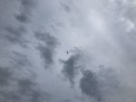 264B1DE3-0C91-4E19-9864-30A9477B6BC5.jpeg