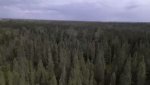 VideoCapture_20180808-191436.jpg
