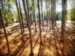 IMG_20180902_102627_561.jpg