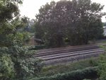 20180904170327.JPG