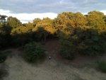 20180913184412.JPG