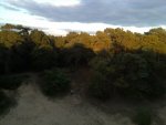 20180913185149.JPG