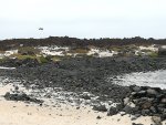 IMG-20180923-WA0014.jpg