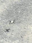 IMG-20180923-WA0006.jpg