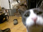 20181021031018.JPG