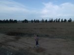20181110085419.JPG