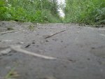 2018_08_02 tello 1.jpg