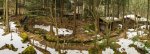 Pano 360 4-Pano.jpg
