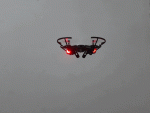 20190422_160005.gif