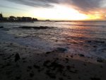 0C82C751-A040-4842-A09F-8C28931D5813.jpeg