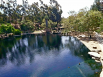 20190728_124824.png