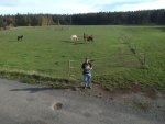 2019-10-20 15-32-07.jpg