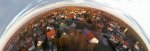 panorama5.jpg
