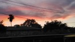 IMG_20190711_201305.jpg