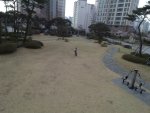 1586575049931.jpeg