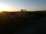 IMG_0963.jpeg