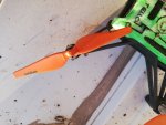 IMG_20200828_062638.jpg