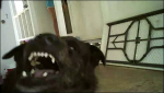 C318E836-FB11-435B-BBDC-67EB51CD8BFF.png