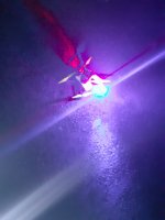 20211024_192226.jpg