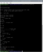 first-swarm-flight.jpg