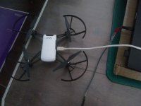 IMG_20220113_125402129.jpg