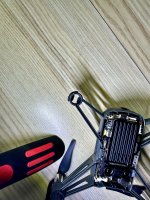 IMG_6860.jpg